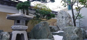 庭画像